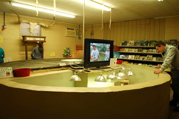 Animal World and Snake Farm (1/19/2015)
