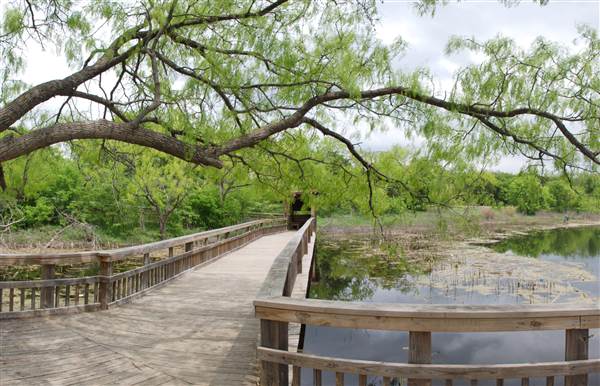 Cedar Hill State Park (4/13/2015)