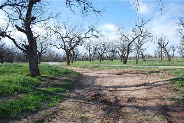 Lake Sweetwater Municipal Park (3/25/2015)