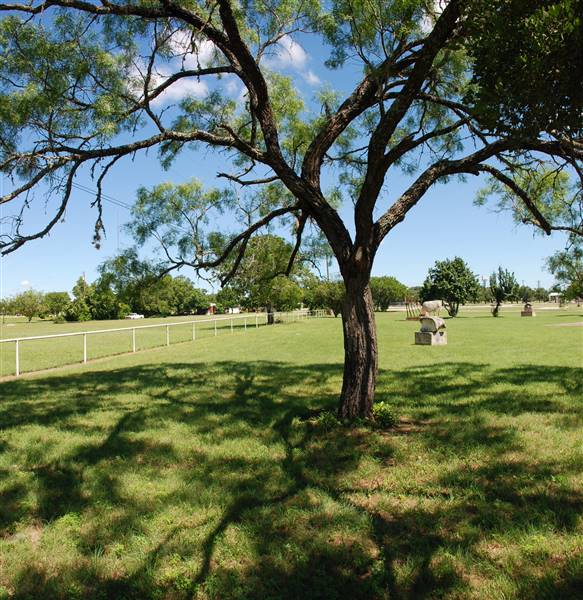 Liberty Hill Sculpture Garden (6/8/2015)