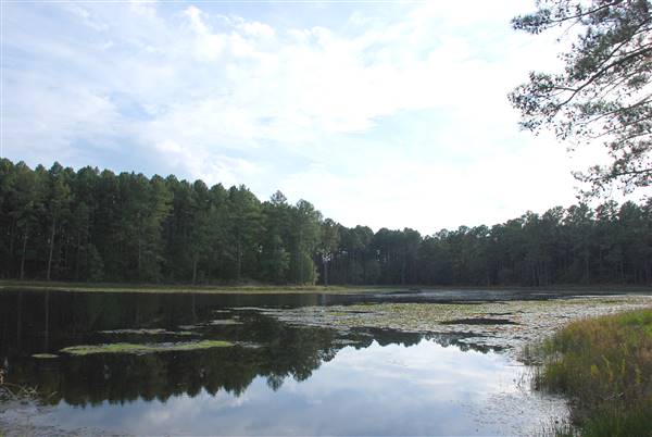Faulkner Park (10/7/2015)