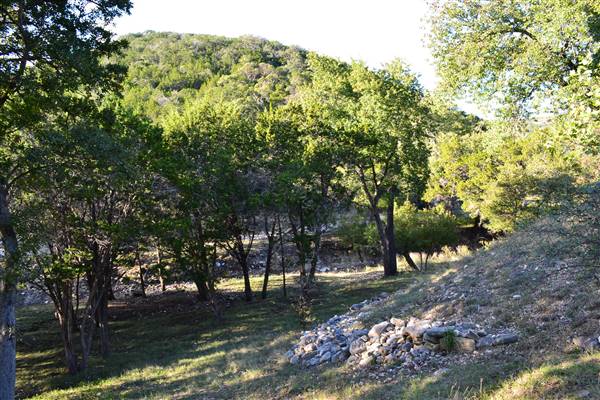 Madrone Ranch (11/12/2015)