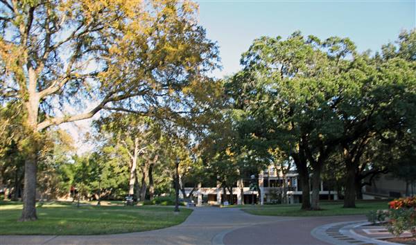 McLennan Community College (1/12/2016)