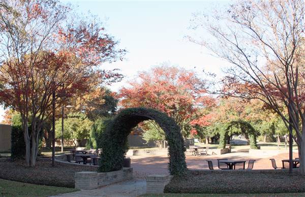 McLennan Community College (1/12/2016)