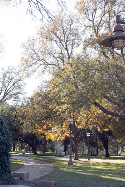 McLennan Community College (1/12/2016)
