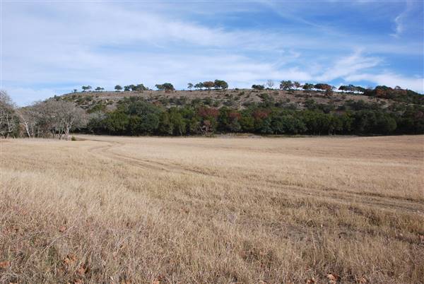 Longhorn River Ranch (12/9/2015)
