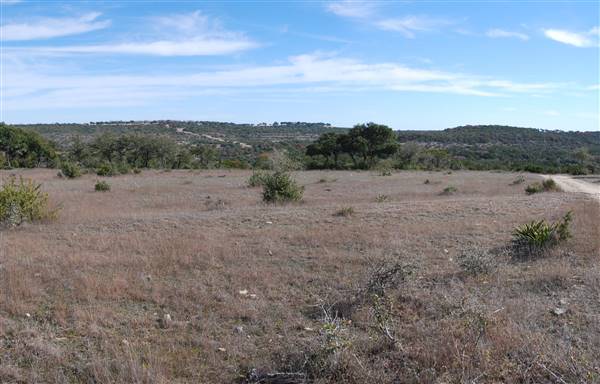 Longhorn River Ranch (12/9/2015)