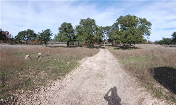 Longhorn River Ranch (12/9/2015)