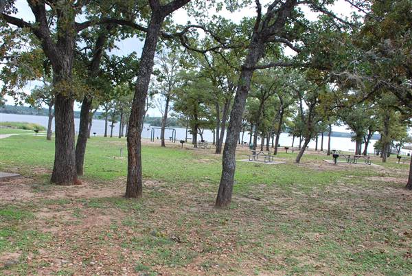 Lake Bastrop - North Shore Park (11/5/2015)