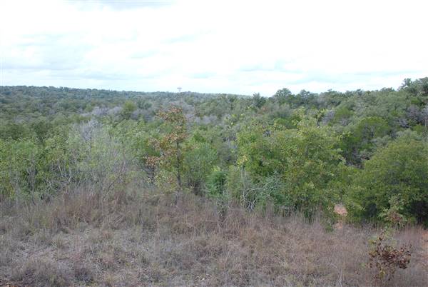 McKinney Roughs Nature Park (11/5/2015)