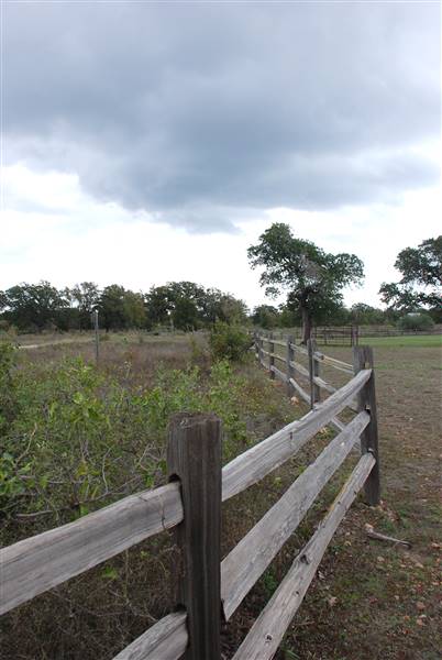 McKinney Roughs Nature Park (11/5/2015)