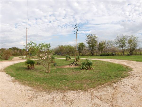 McKinney Roughs Nature Park (11/5/2015)