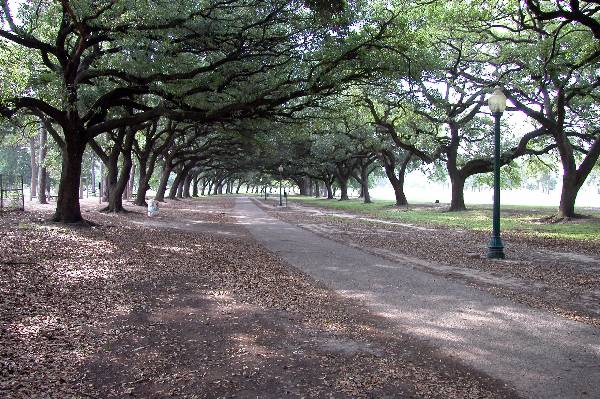 Hermann Park (4/23/2004)
