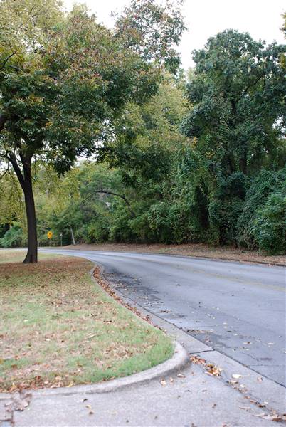 Cameron Park (10/21/2015)