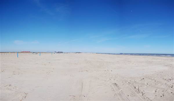 East Beach (2/16/2016)
