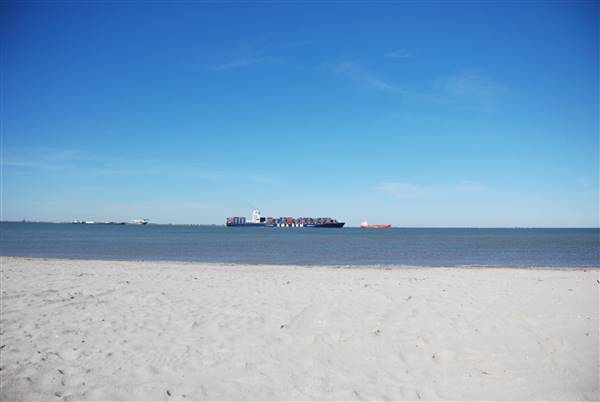 East Beach (2/16/2016)