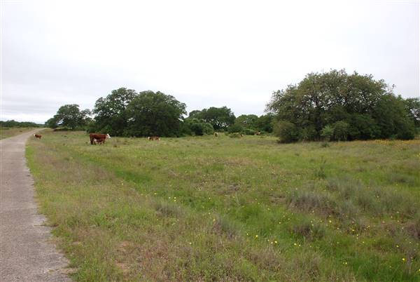 Storm Ranch (5/10/2016)