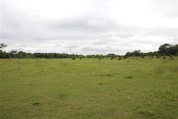 Storm Ranch (5/10/2016)