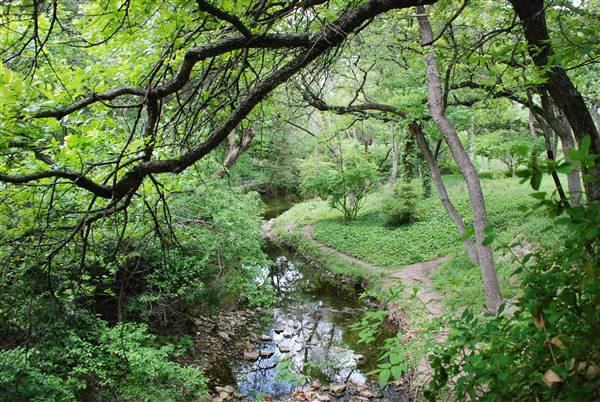 Davis Park (4/14/2016)
