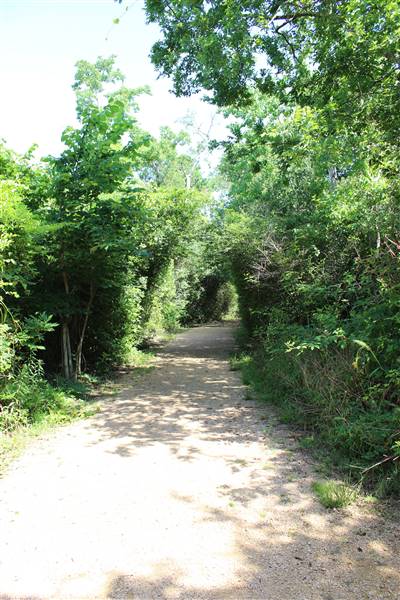 Seabrook Hike & Bike Trails (6/16/2016)