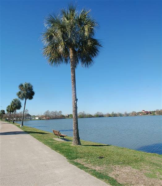 Nassau Bay City Park (12/15/2016)