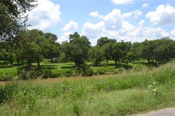 Pleasonton Pecan Orchard (1/18/2017)