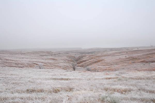Mendota Ranch (12/13/2007)
