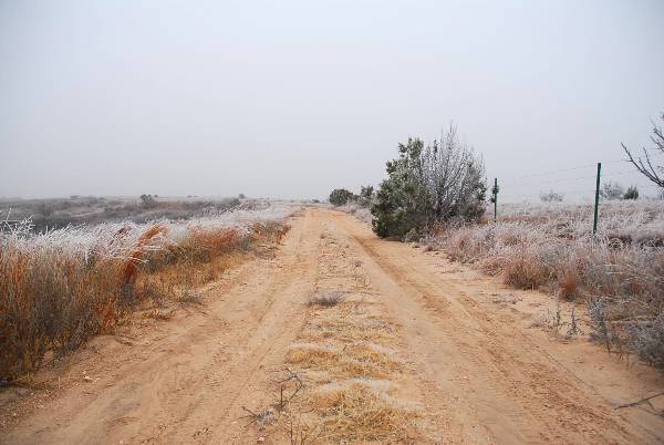 Mendota Ranch (12/13/2007)