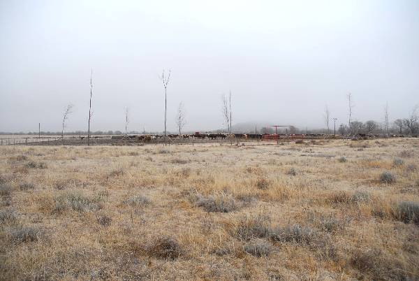 Mendota Ranch (12/13/2007)