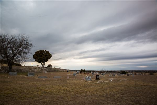 Fairy Cemetery (3/9/2018)