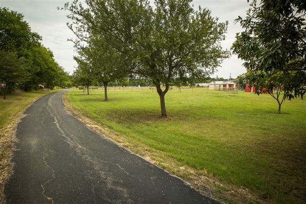 Pete's Path (3/16/2018)