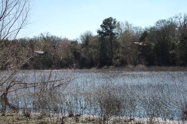 Buescher State Park (2/26/2008)