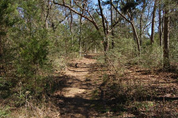 Buescher State Park (2/26/2008)