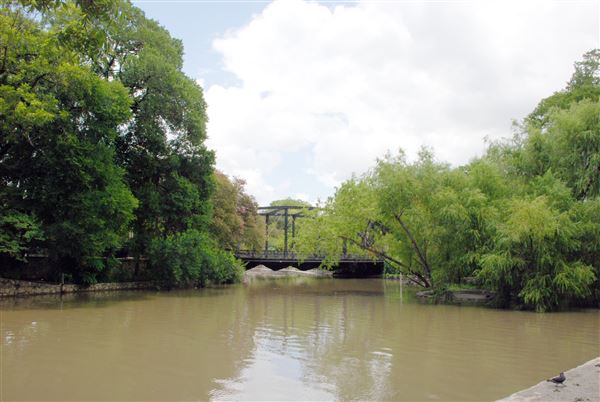 Brackenridge Park (7/5/2018)