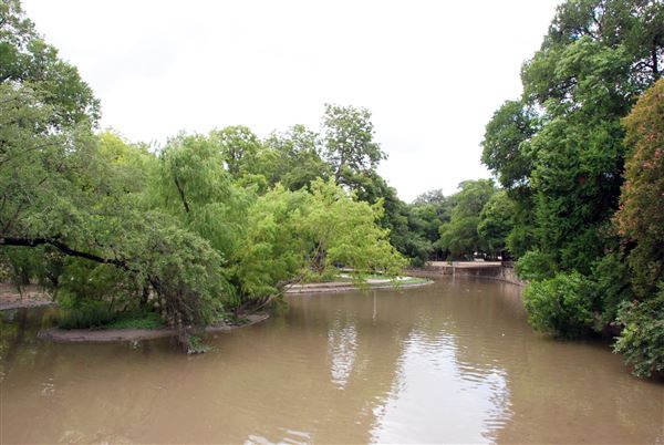 Brackenridge Park (7/5/2018)