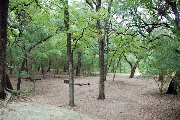 Brackenridge Park (7/5/2018)