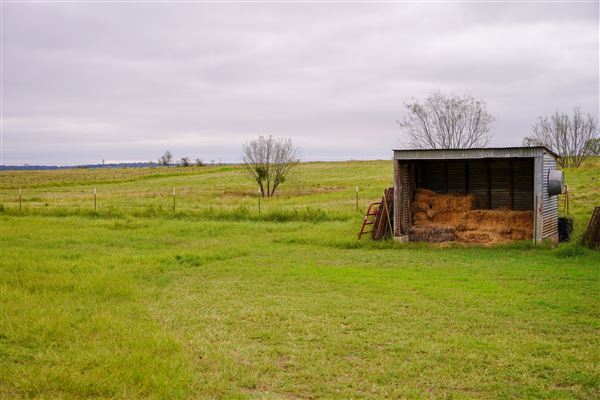 Dockery Ranch (1/4/2019)