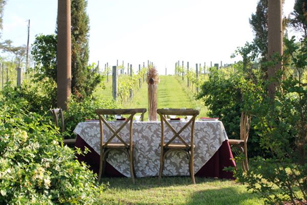 Sabor A Pasion Estate & Vineyard (5/4/2019)