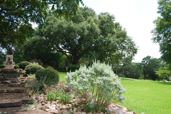 Reagan Park (7/6/2019)