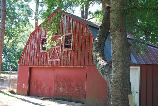 House at 1020 East Lacey Street (7/25/2019)