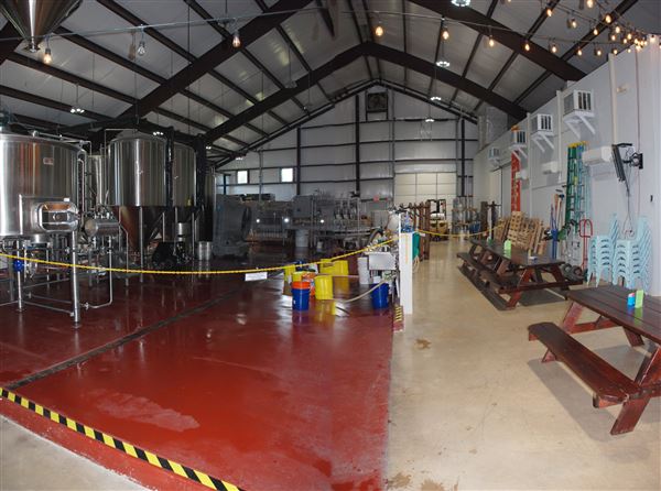 Save the World Brewing Company (3/1/2019)