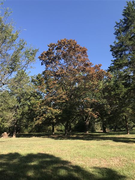 Historic Grove House (11/9/2019 - Credits: Lisa Jackson)