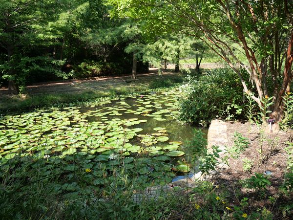 Clark Gardens Botanical Park (7/16/2019)