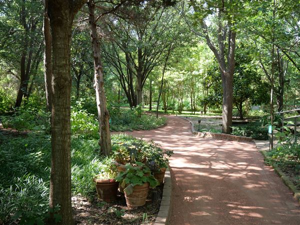 Clark Gardens Botanical Park (7/16/2019)