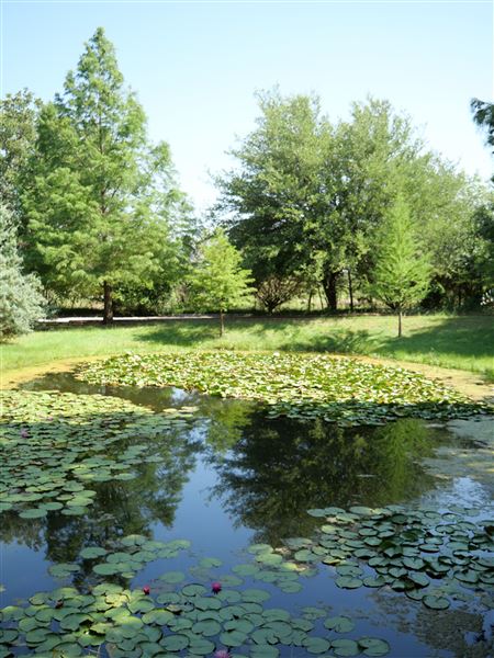 Clark Gardens Botanical Park (7/16/2019)