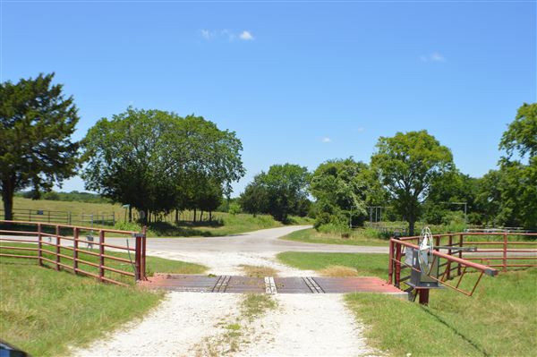Cedar Isle Ranch (6/8/2020 - Credits: Mexia EDC)