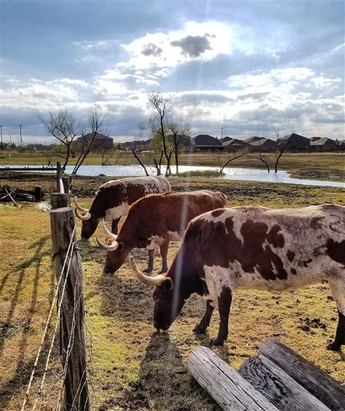 The Rustoration Ranch (8/2/2020 - Credits: Self)