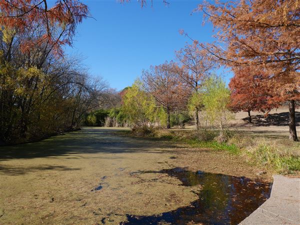 Beverly S. Sheffield Northwest District Park (12/9/2020)