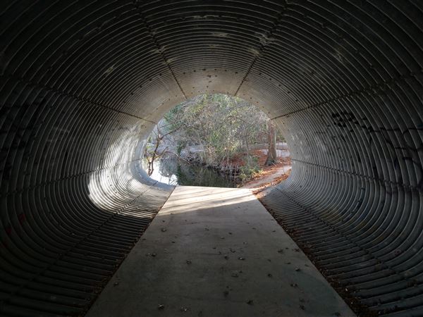 Walnut Creek Metropolitan Park (12/15/2020)