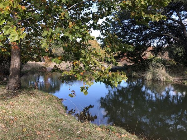 Hidden Springs Ranch (11/1/2020 - Credits: Bill Lanier)